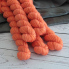 Cinderella Fingering - 20 gram - Yarn Love yarn