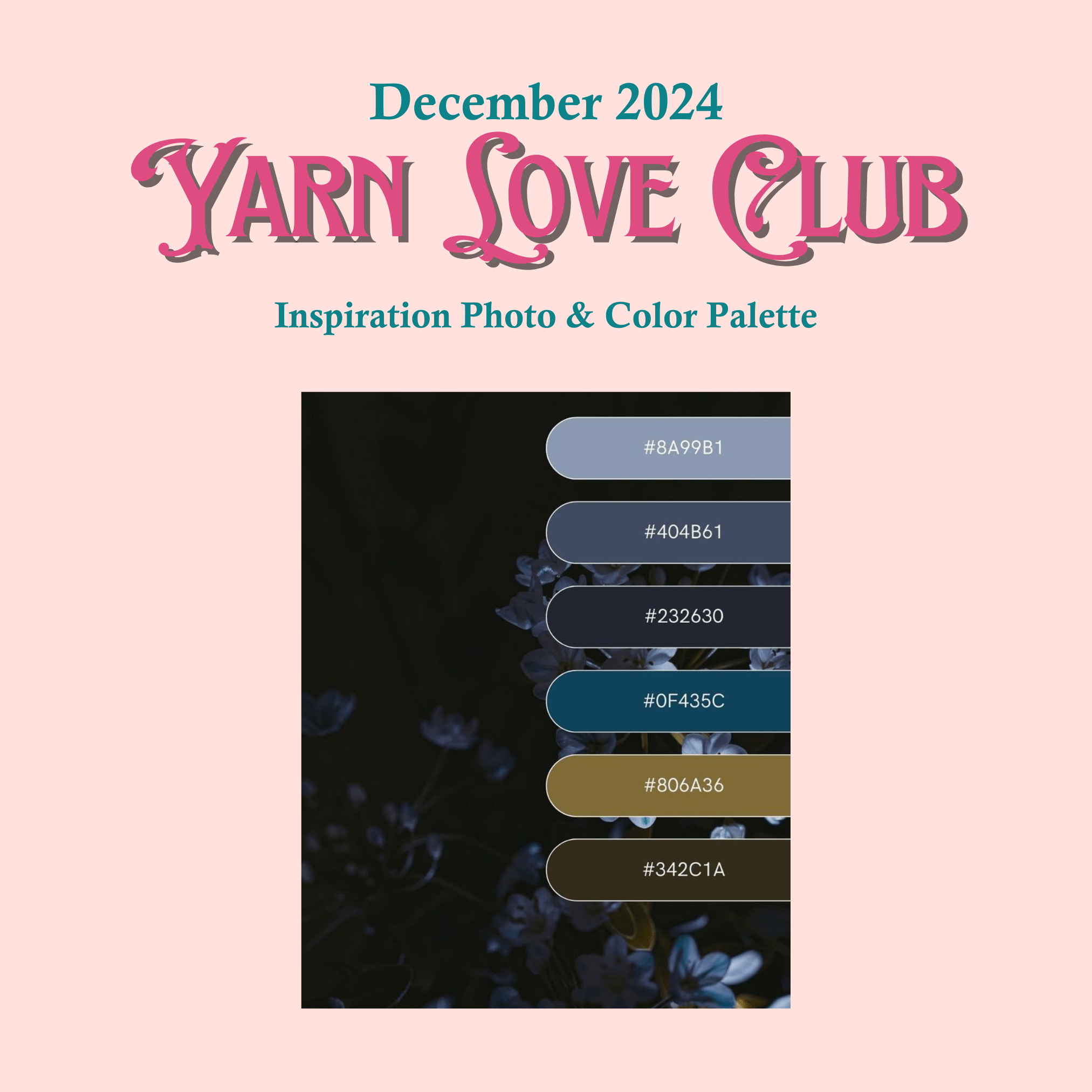 Heavy Weight Yarn Club: Monthly Shipment of Yarn - Yarn Love Yarn